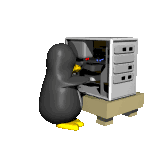 tux working on a computer